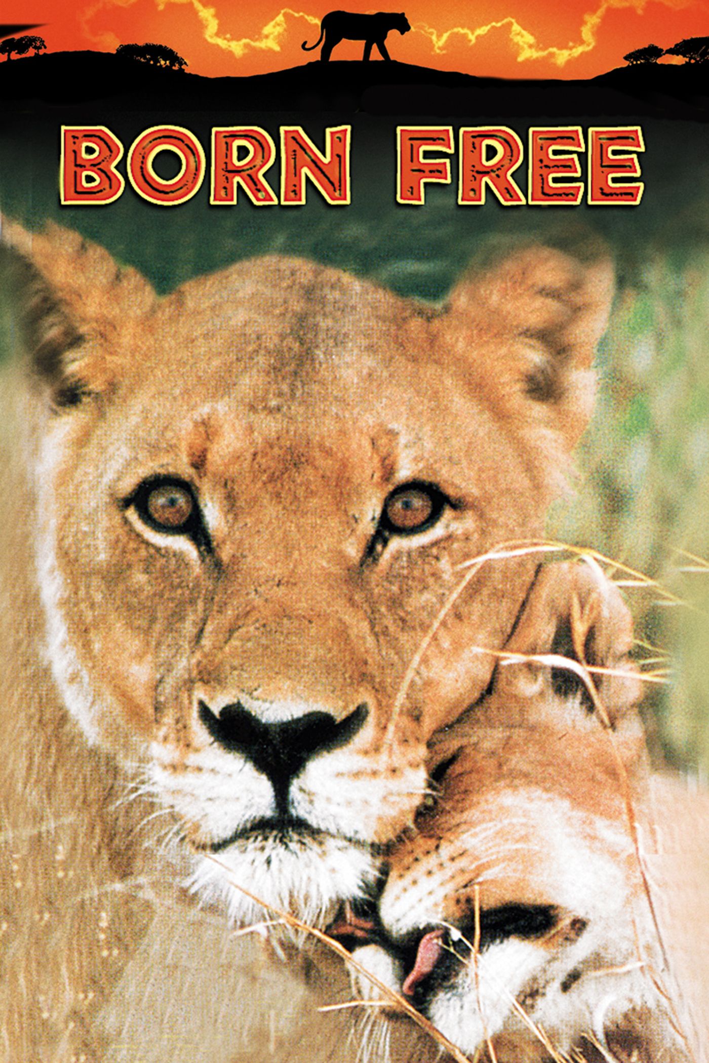 Born Free
★★★★★